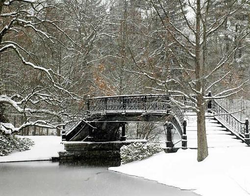 Snowy Walking Bridge...-walkingbridge.jpg