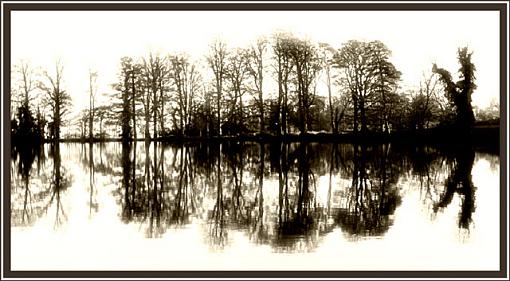 Mirror Image-ballyfin-lake.jpg