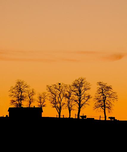 Pastoral Silhouette-_dsc31762.jpg