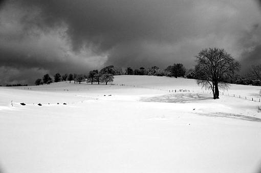 After The Storm-hill-2-bw-.jpg