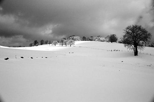 After The Storm-hill-5-bw-.jpg