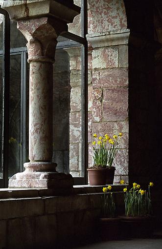 Flowers  and Stone. . ( Cloisters)-0205-1925xweb.jpg