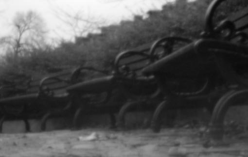 First Pinhole Photograph!-pinhole_hayes_park2.jpg