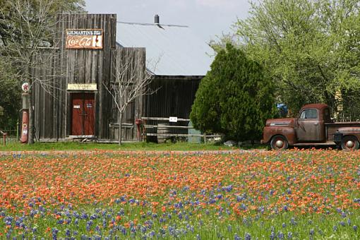 Texas Bluebonnet Pics-general-store_resize.jpg