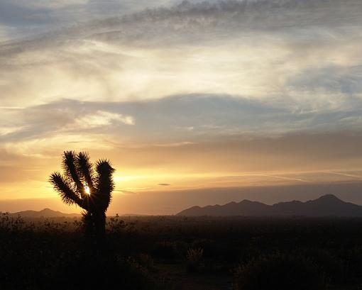 Desert Sunset-dsc00932-joshua-tree-sunset-resized.jpg