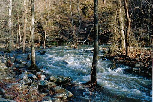 Petit Jean State Park (Arkansas)-creek.jpg