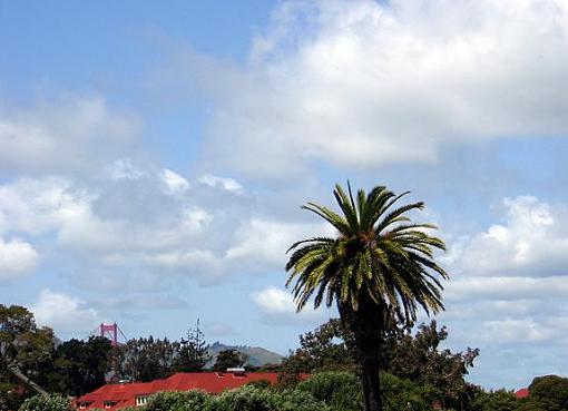 Three Golden Gate Bridge Shots.-img_0420.jpg