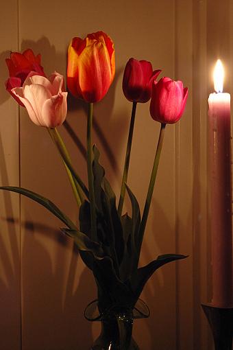 Flowers by Candle Power-dsc_4318_candlepowerflowersmall.jpg