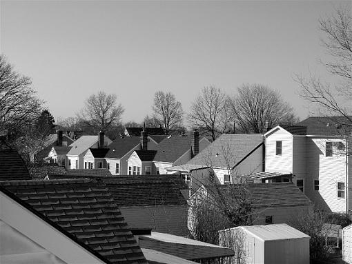 Fresh from Suburbia-roofline-bw-6x8.jpg