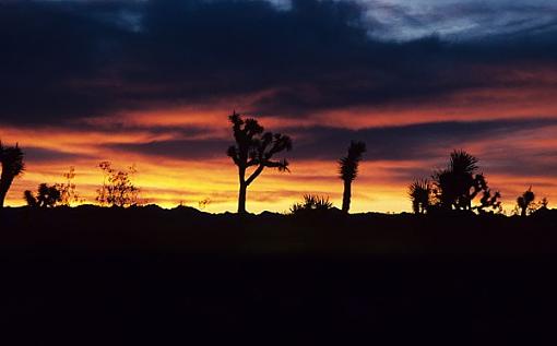 Another desert sunrise..-jt1.jpg