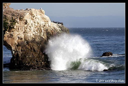 Santa Cruz-naturalbridges1.jpg