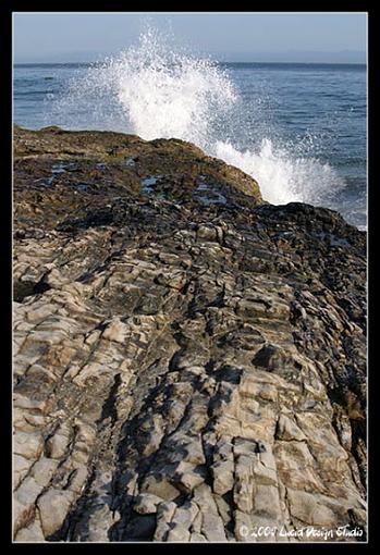 Santa Cruz-naturalbridges2.jpg