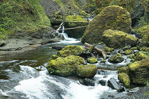 [Gorge Trail] River View-dsc_4522gorgetrailriverviewsmall.jpg