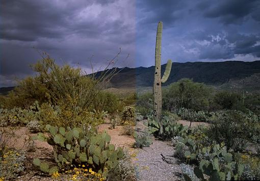 Looming storm in the desert-01.jpg