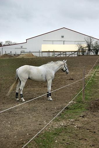 Some shots from the barn today...-van5.jpg