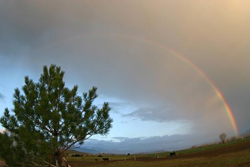 Fisheye Rainbow-img_5026.jpg