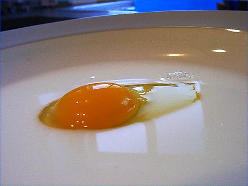 Egg on the Window-egg-windows.jpg