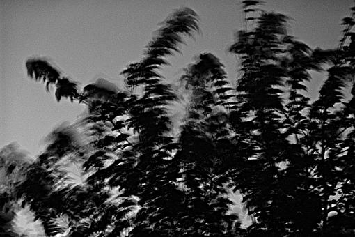 Abstract B&amp;W-dsc02128-wind1-8x12-small.jpg