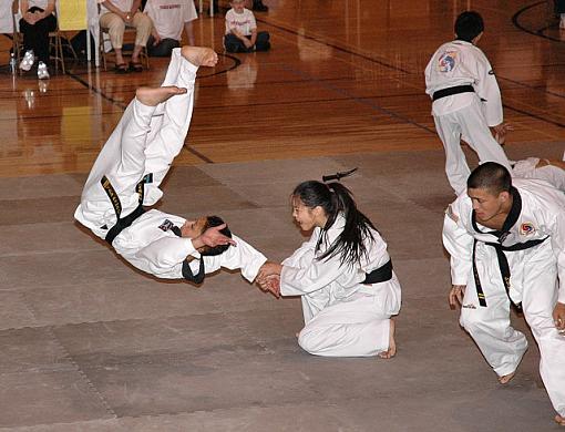 Stack of Black Belts-dsc_4809demonstrationactionsmall.jpg