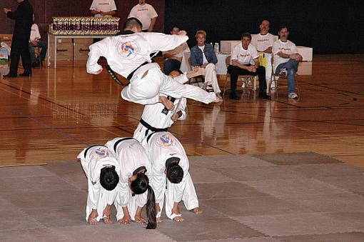 Stack of Black Belts-dsc_4799flyingkicksmall.jpg