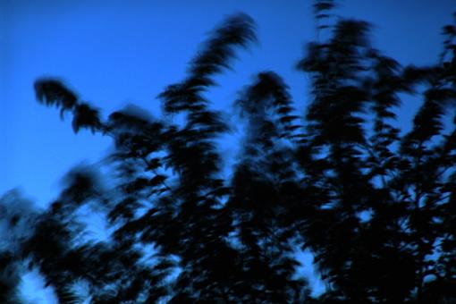 abstract in color-dsc02128-wind2-8x12small.jpg