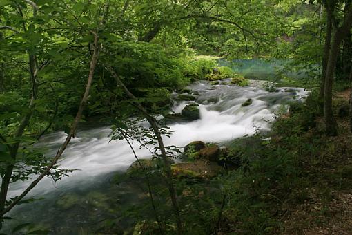 Missouri Springs-river-forest.jpg