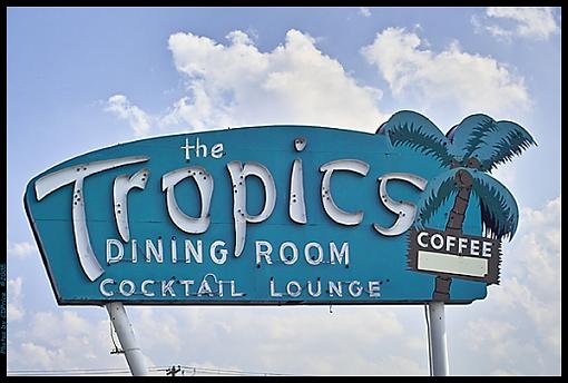 The Tropics -  New Camera II-p3.jpg