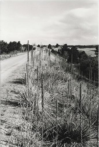 Front Range Trail-front-range-trail.jpg