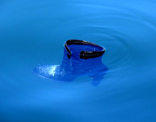 Adrift in a sea of blue-img_1149-croped-640.jpg