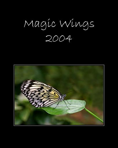 Magic Wings-butterfly2.jpg