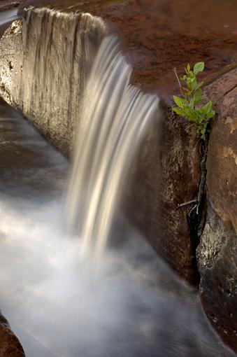 Desert Oasis-beaver-creek-3-06.10.jpg