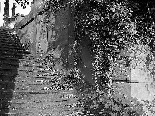 Stairway to heaven-102_10761.jpg