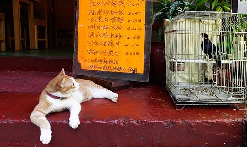I love you till you are dead-crw_3340-jpg.jpg