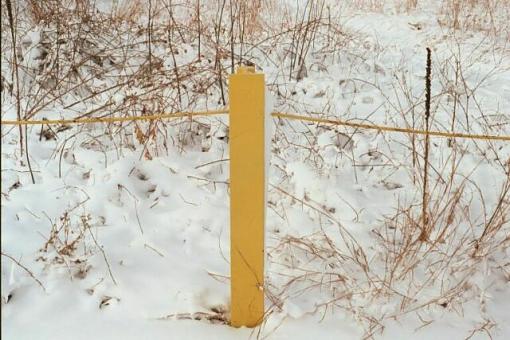 yellow pole-toolarge1.jpg