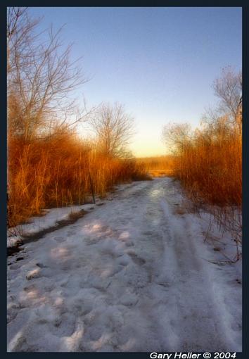 Snow Path Through Fiery Thicket-lndscp0204-218x03xxweb.jpg