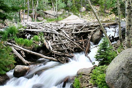 Flowing water long exposures-albertatrail7c.jpg