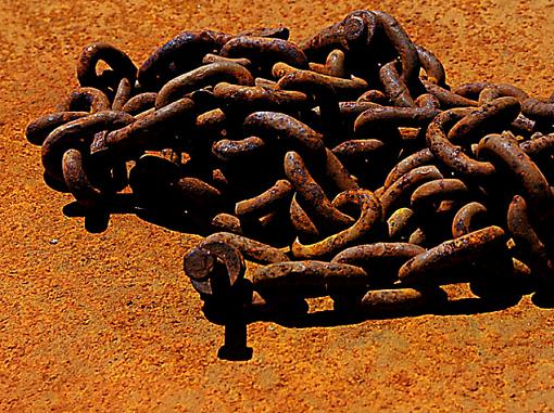 Rust on Rust-dsc_0003-640.jpg
