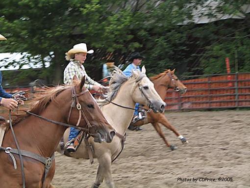 Cowboy Series - A Poster-cbostorig.jpg