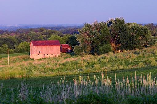 Sunkissed Barn-crw_6952.jpg