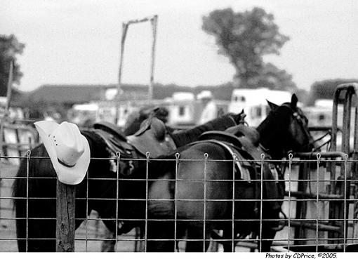 Cowboy Series - On Break-break2.jpg