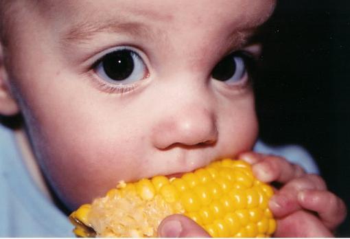 First Taste of Corn on the Cob-corn1.jpg