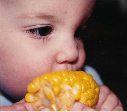 First Taste of Corn on the Cob-corn2.jpg