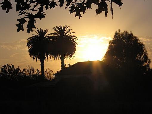 Early Evening, Old abandoned burned out house, palm trees, sillhouettes.-worthpursuing.jpg