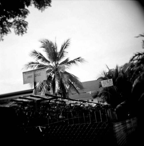 Black &amp; White HOLGA vote-39210011pr.jpg