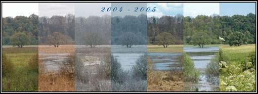 4 seasons in 1 image.  Continuation after one year-medisr.jpg