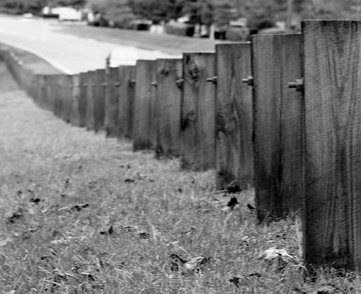 Fence posts-posts.jpg