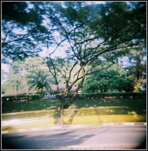 Taxiiii - Holga-39210001pr.jpg