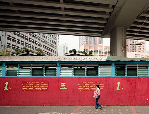 A House under a Motorway-_mg_0276-jpg.jpg