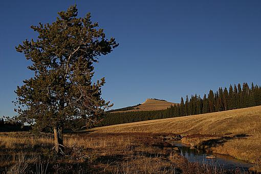 Bighorn Mountains-web-size.jpg