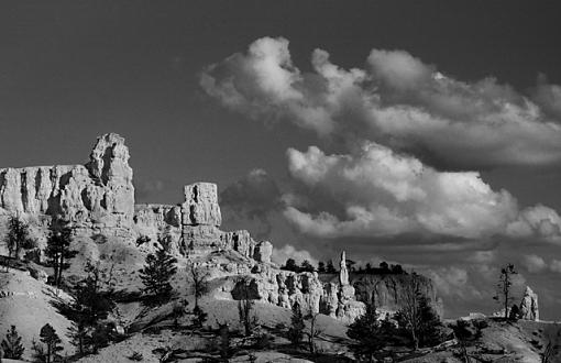 From Bryce Canyon-57850022ps-crop-resize.jpg